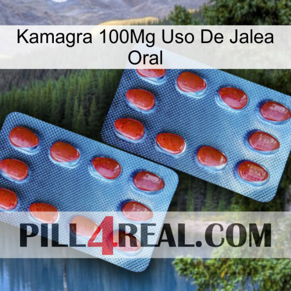 Kamagra 100Mg Oral Jelly Use 05.jpg